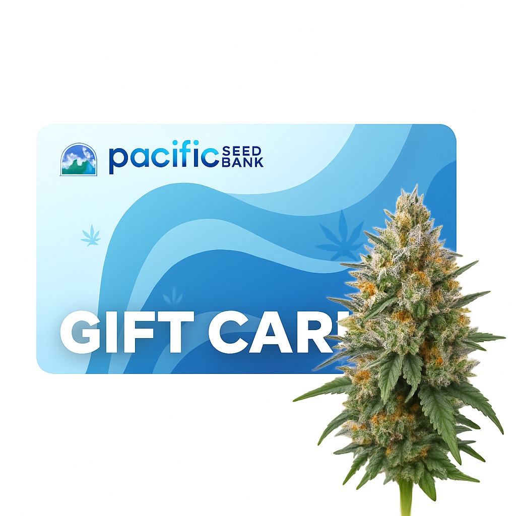 Gift Card Feminized